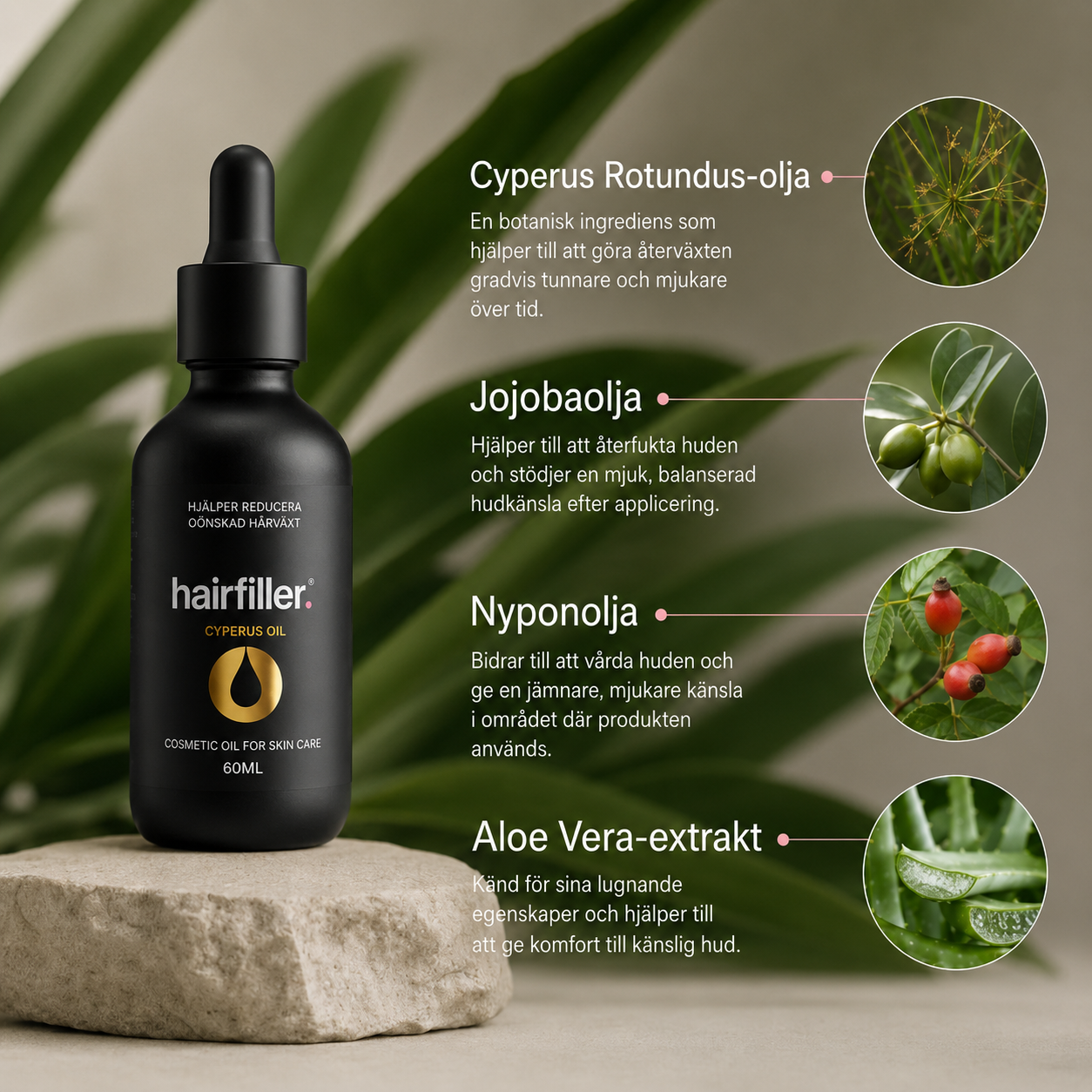 Cyperus Oil!