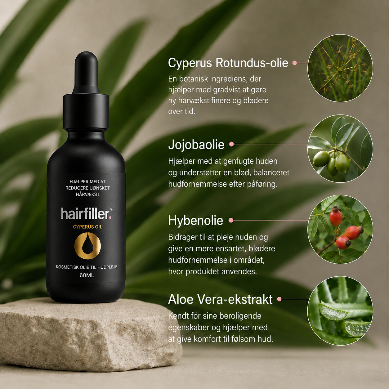 Cyperus Oil!